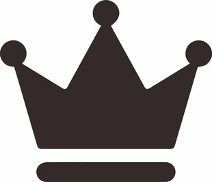 简约皇冠图标