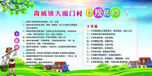 村规民约