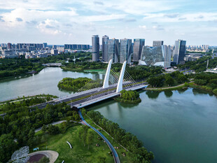 城市河畔桥梁与现代建筑群
