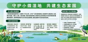 守护小微湿地 共建美好家园