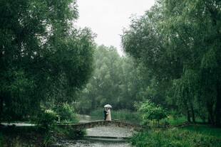 林间漫步小道