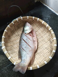 竹篮中的鲜鱼