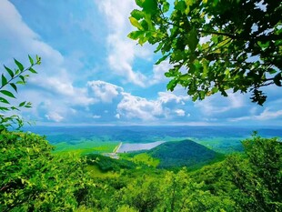 青山绿树间的开阔美景