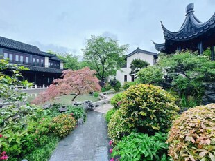 中式园林小径古韵景致