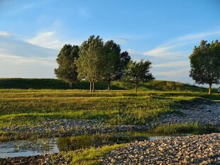 田园河畔风光美景