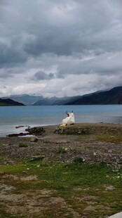 海边孤景阴云下的宁静