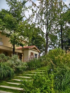 林间小屋旁的绿意阶梯