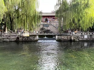 河畔垂柳下的中式桥景