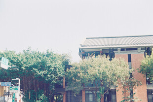 绿树环绕的红砖建筑