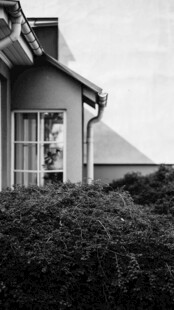 乡村小屋旁的繁茂绿植