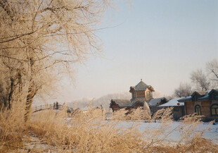 冬日乡村雪景静谧风光