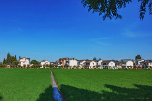 田园旁的美丽住宅群落