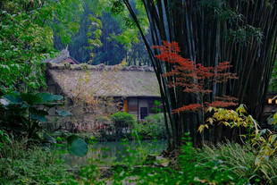 竹林中的古朴小屋