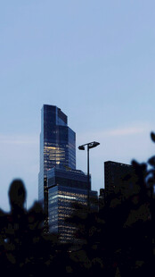 城市高楼与前景绿植景观