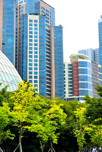 城市高楼与葱郁绿树景观