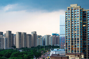 城市高楼与绿树景观