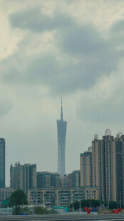 城市天际线中的高楼景观