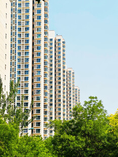 高楼林立的城市绿化景观
