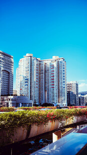 河畔高楼林立的城市美景