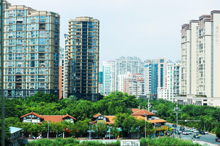 城市高楼与绿植景观