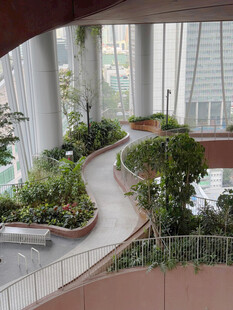 室内蜿蜒绿植步道景观