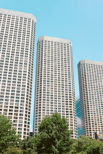 城市高楼与绿树景观