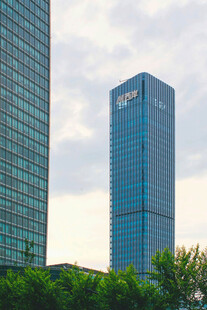 城市高楼与绿树景观