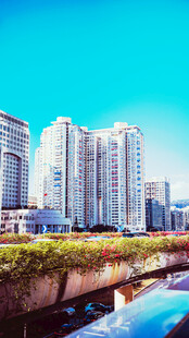河畔高楼林立的城市风光