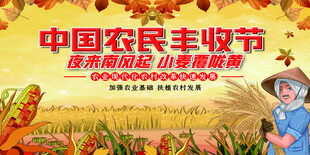  农民丰收节