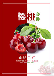 樱桃