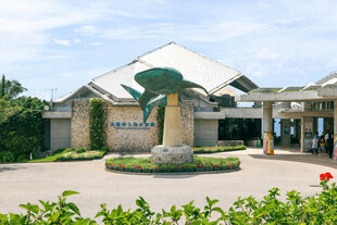 热带风格度假酒店外观