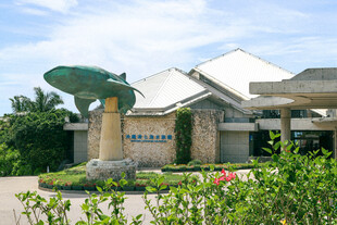 现代风格建筑入口景观