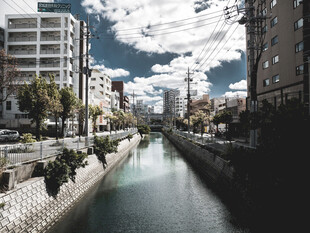城市河道旁的建筑风景