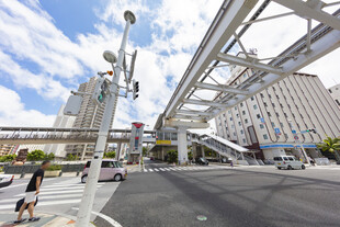 城市高架下的街道景象
