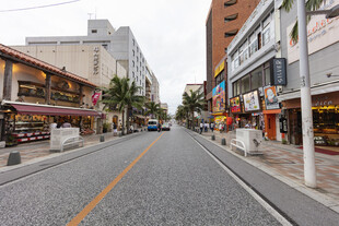 城市街道两旁的商铺景象