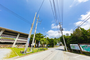 乡村道路旁的架空电线景观
