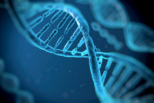 双螺旋DNA分子结构特写