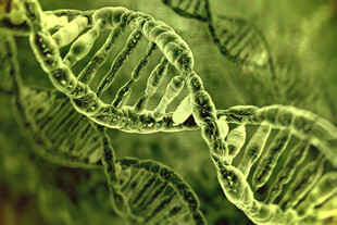 双螺旋DNA分子结构特写