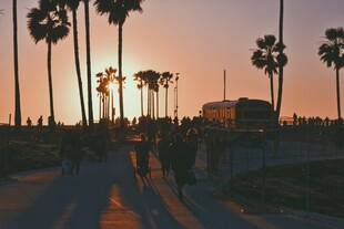夕阳下的棕榈树海滨步道