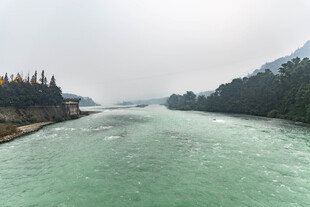 碧绿河水穿林而过的美景