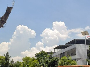蓝天白云下的建筑景观