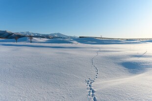冬日旷野之景