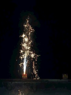 夜空中闪耀的绚烂烟花树