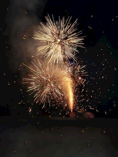 夜空中绚烂绽放的烟花
