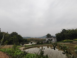 乡村田园风光景色