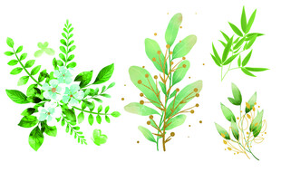 清新绿植素材集合