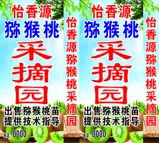 猕猴桃采摘园