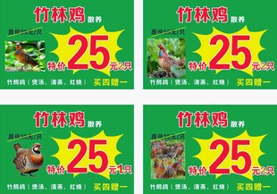 竹林鸡散养