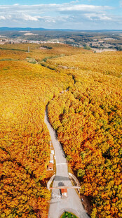 秋日山谷中的蜿蜒公路