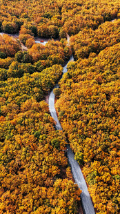 秋日蜿蜒公路穿行斑斓山林